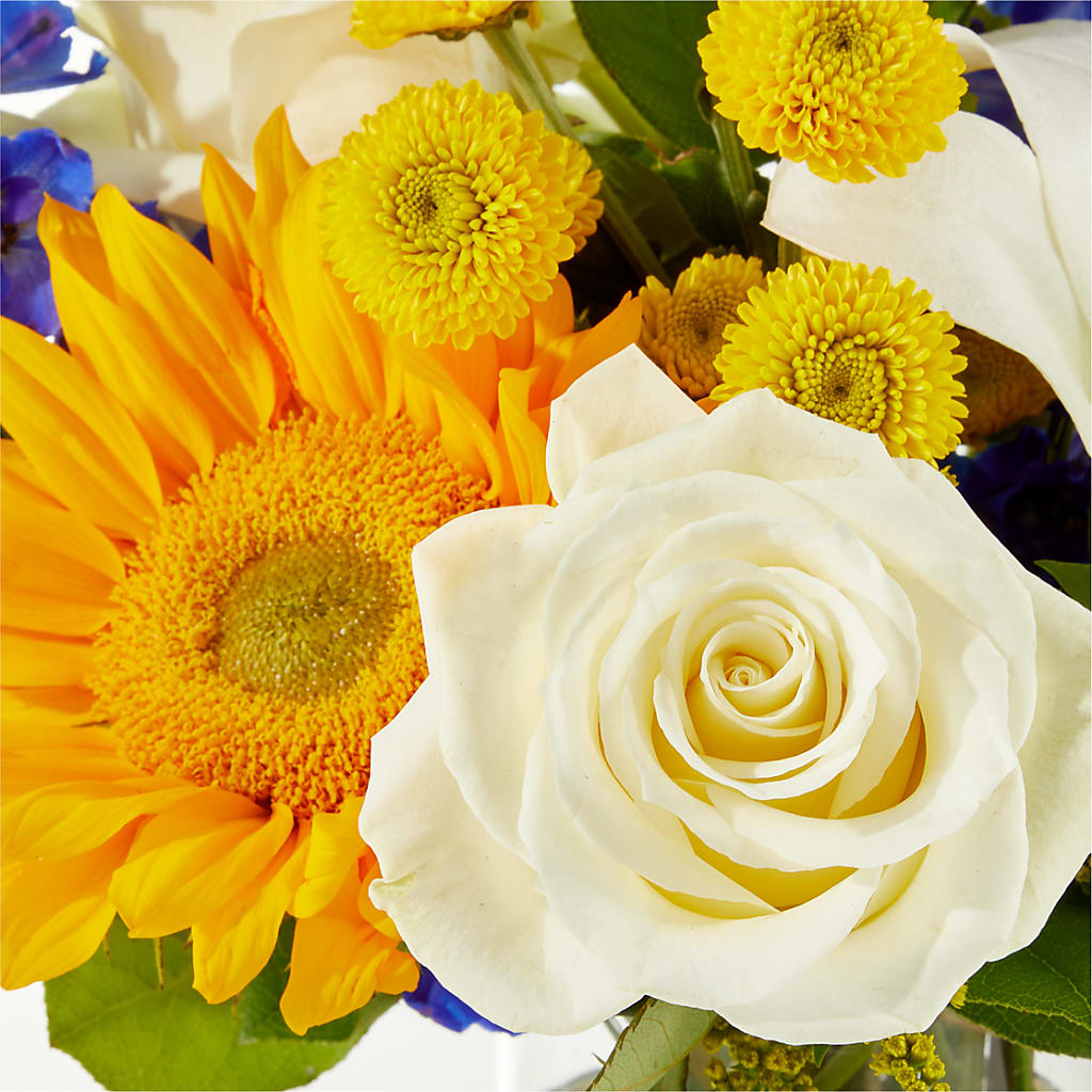 Stargazing Bouquet –  Vanessa Florist Corp, Brooklyn NY