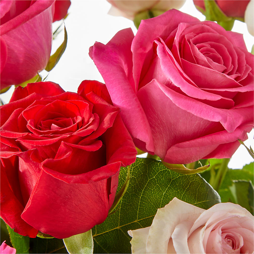 Charming Rose Bouquet –  Vanessa Florist Corp, Brooklyn NY
