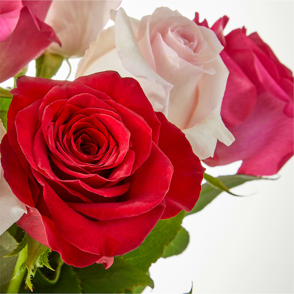 Charming Rose Bouquet –  Vanessa Florist Corp, Brooklyn NY