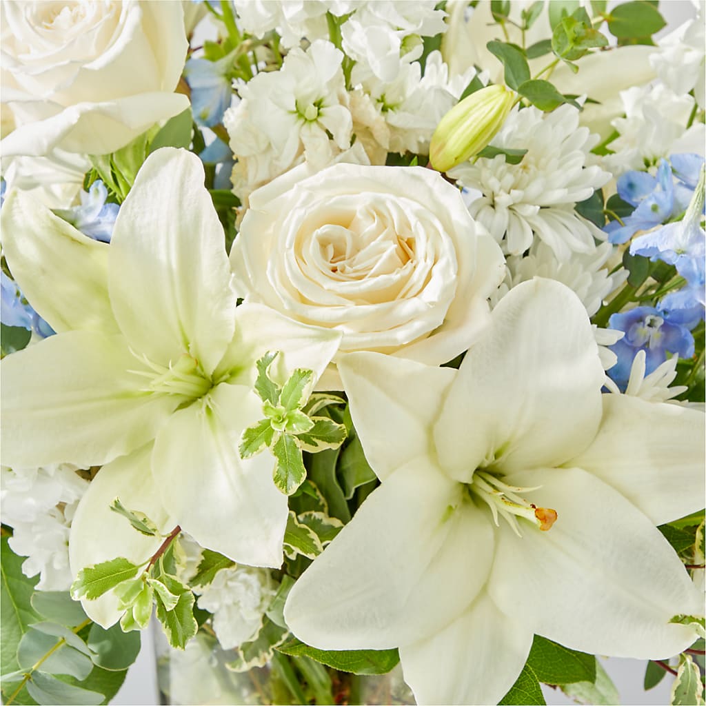 Peace of Mind Bouquet –  Vanessa Florist Corp, Brooklyn NY