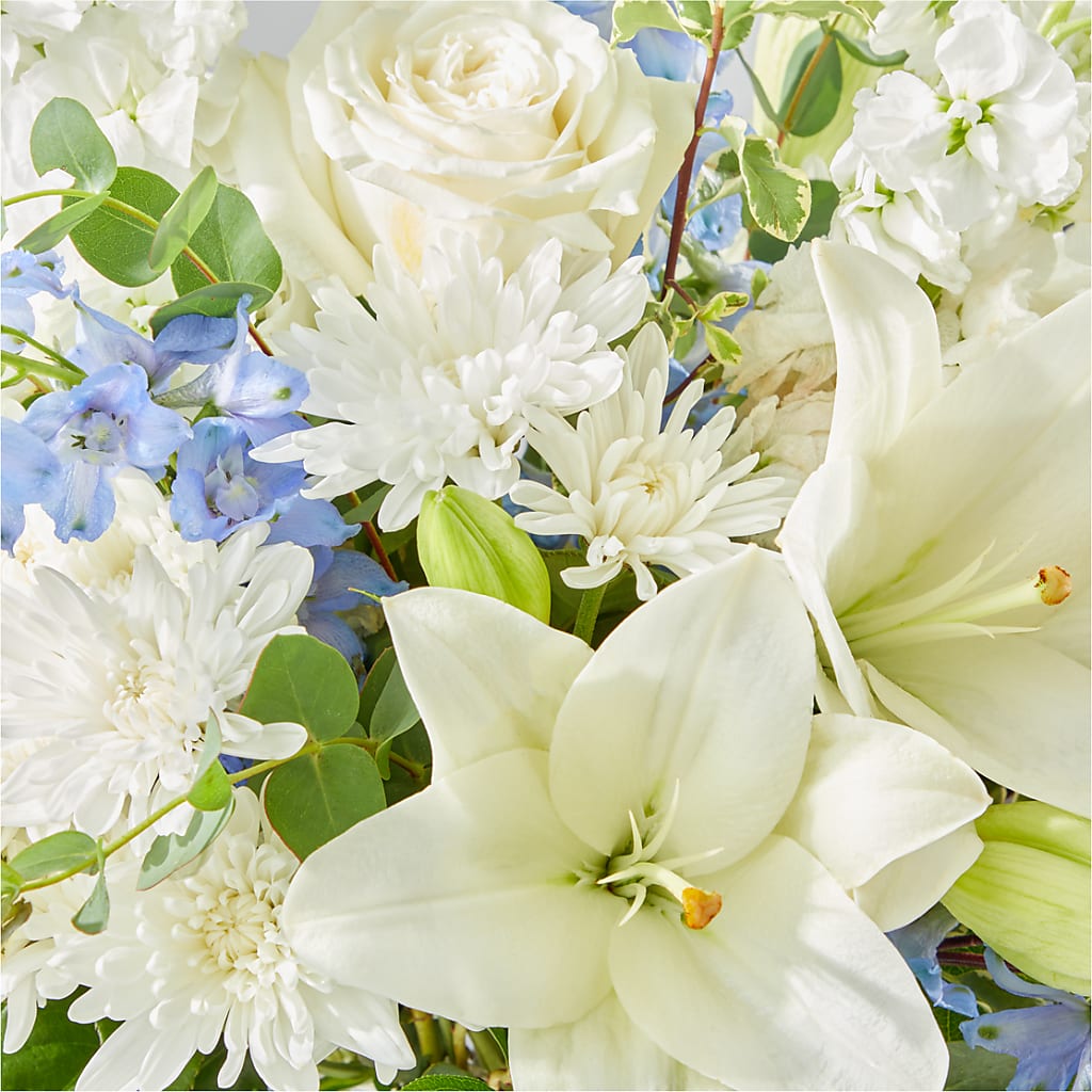 Peace of Mind Bouquet –  Vanessa Florist Corp, Brooklyn NY