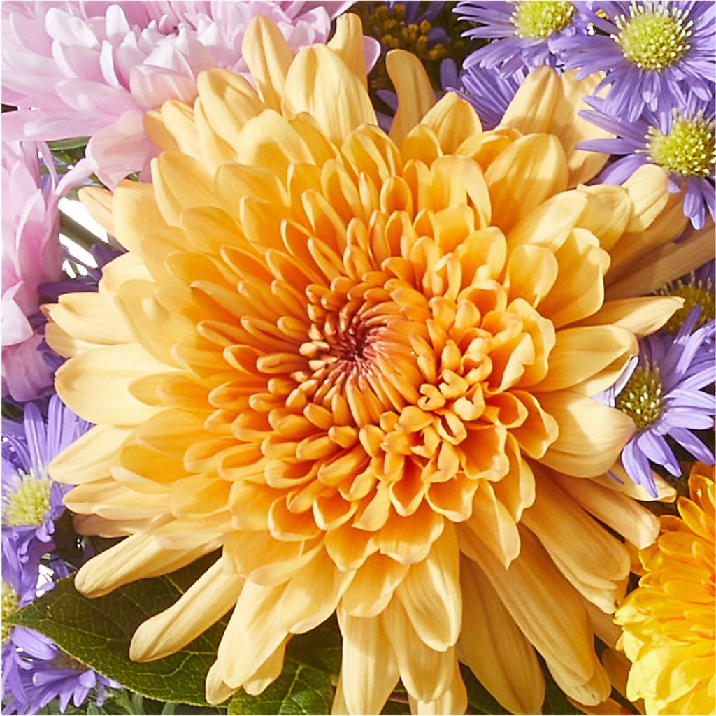 Countryside Bouquet –  Vanessa Florist Corp, Brooklyn NY