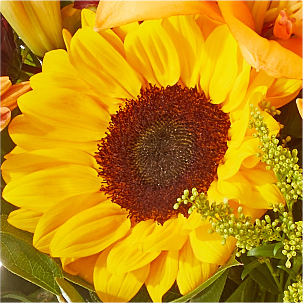 Seasons Change Bouquet –  Vanessa Florist Corp, Brooklyn NY