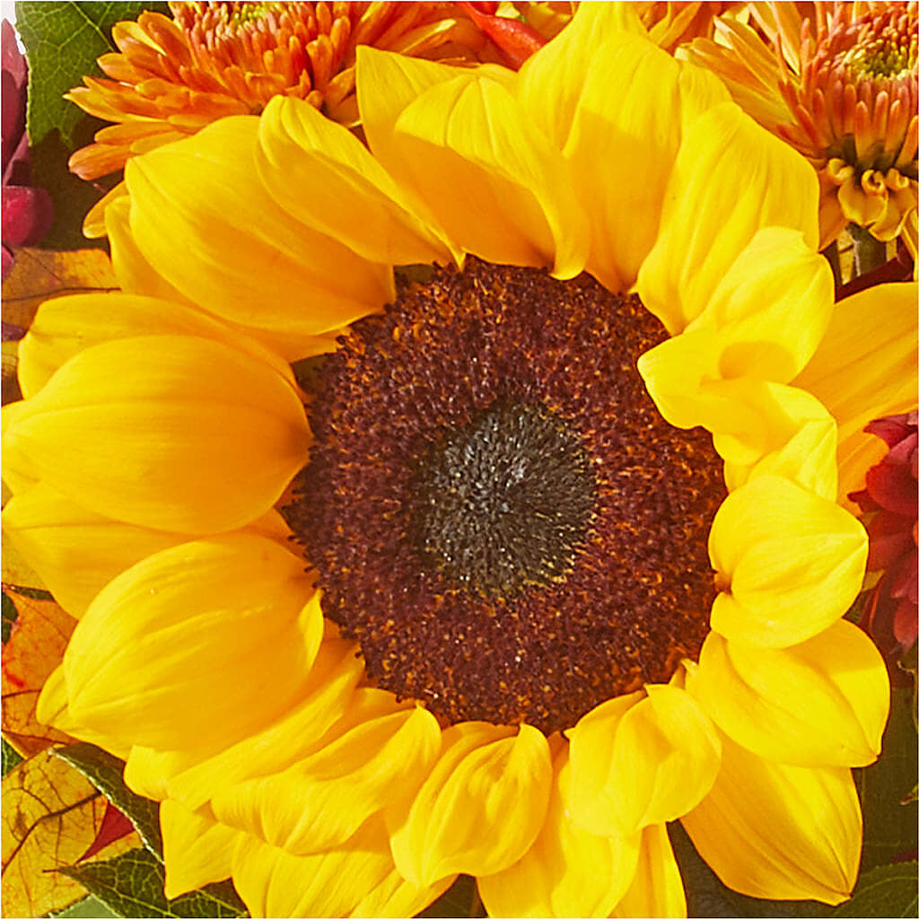 Sunny Side Bouquet –  Vanessa Florist Corp, Brooklyn NY