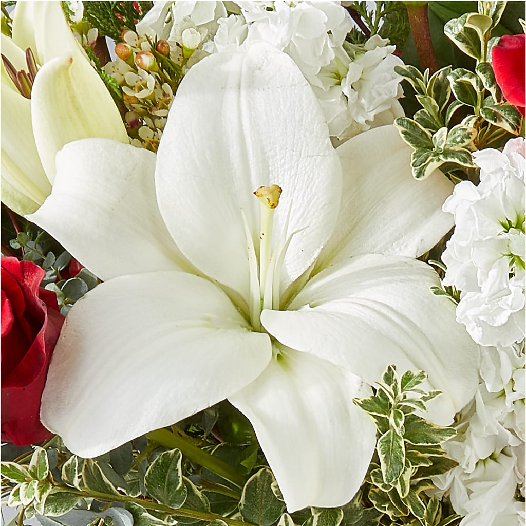Twinkle Lights Bouquet –  Vanessa Florist Corp, Brooklyn NY