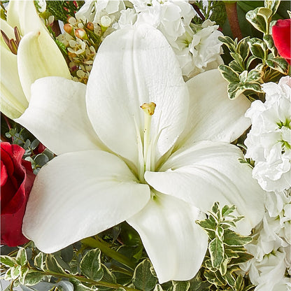 Twinkle Lights Bouquet –  Vanessa Florist Corp, Brooklyn NY