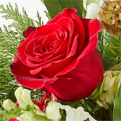 Deck the Halls Bouquet –  Vanessa Florist Corp, Brooklyn NY