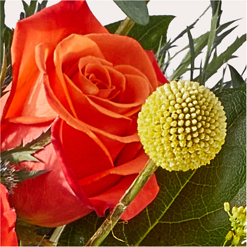 Disco Bouquet –  Vanessa Florist Corp, Brooklyn NY