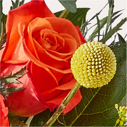 Disco Bouquet –  Vanessa Florist Corp, Brooklyn NY