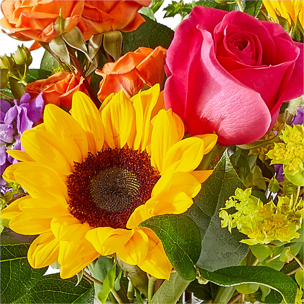 Vibrant Greetings Bouquet –  Vanessa Florist Corp, Brooklyn NY