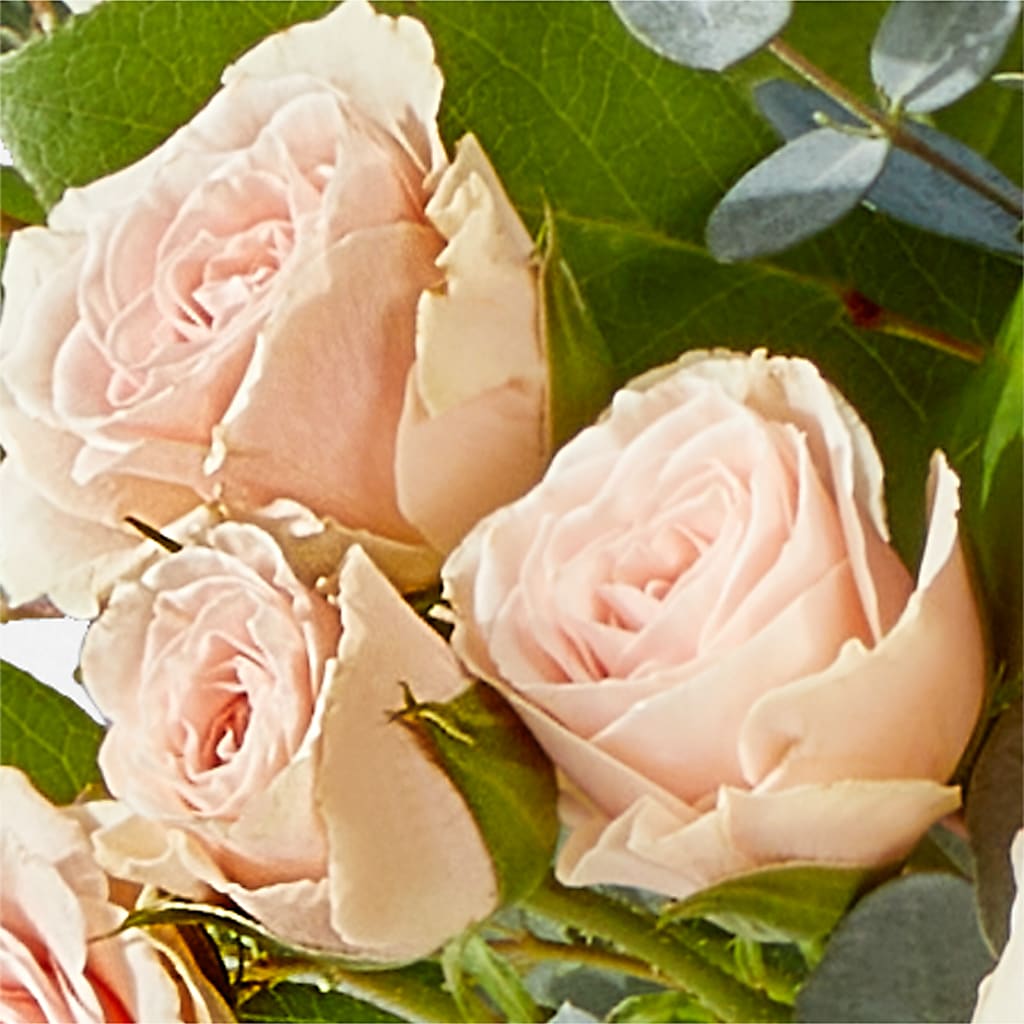 Inspired Bouquet –  Vanessa Florist Corp, Brooklyn NY