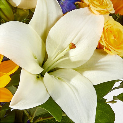 Wonderfully Sunny Bouquet –  Vanessa Florist Corp, Brooklyn NY