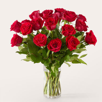The One Red Rose Bouquet –  Vanessa Florist Corp, Brooklyn NY