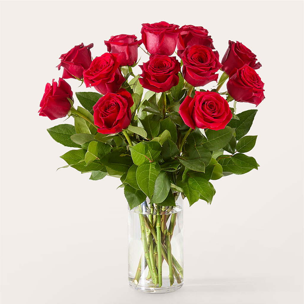 The One Red Rose Bouquet –  Vanessa Florist Corp, Brooklyn NY
