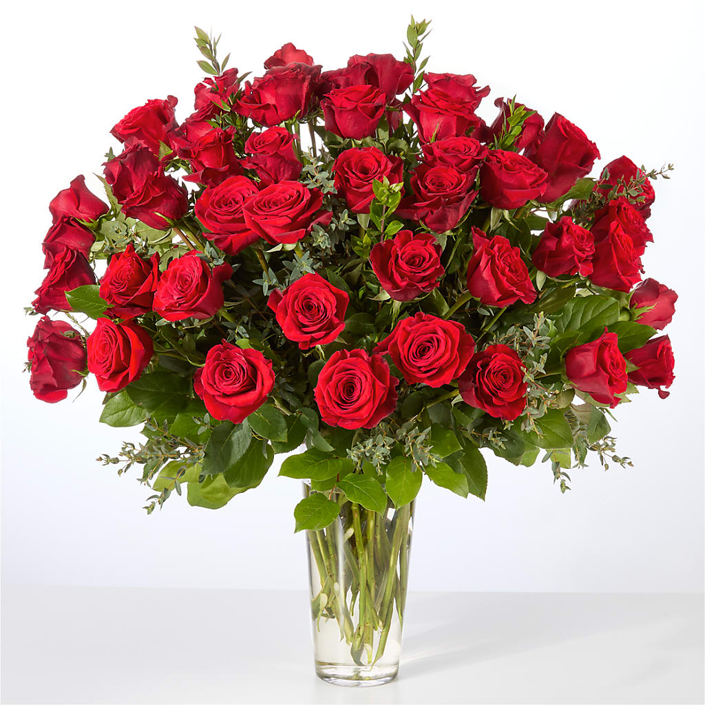 Forever Yours Fifty Stem Red Rose Bouquet –  Vanessa Florist Corp, Brooklyn NY