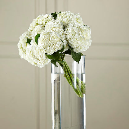 White Hydrangea Hand-Tied Bouquet –  Vanessa Florist Corp, Brooklyn NY