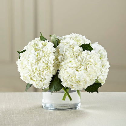 White Hydrangea Bouquet –  Vanessa Florist Corp, Brooklyn NY