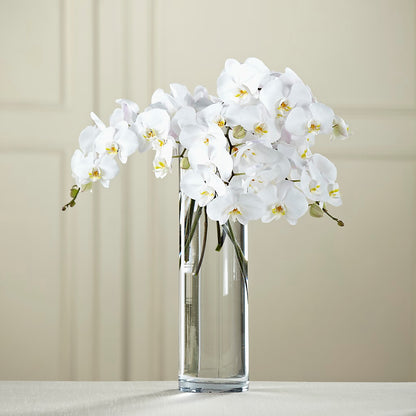 White Phalaenopsis Bouquet –  Vanessa Florist Corp, Brooklyn NY
